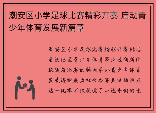 潮安区小学足球比赛精彩开赛 启动青少年体育发展新篇章