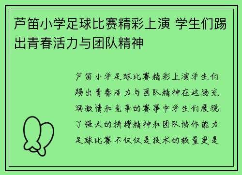 芦笛小学足球比赛精彩上演 学生们踢出青春活力与团队精神