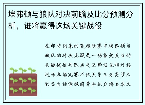埃弗顿与狼队对决前瞻及比分预测分析，谁将赢得这场关键战役