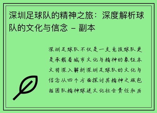 深圳足球队的精神之旅：深度解析球队的文化与信念 - 副本